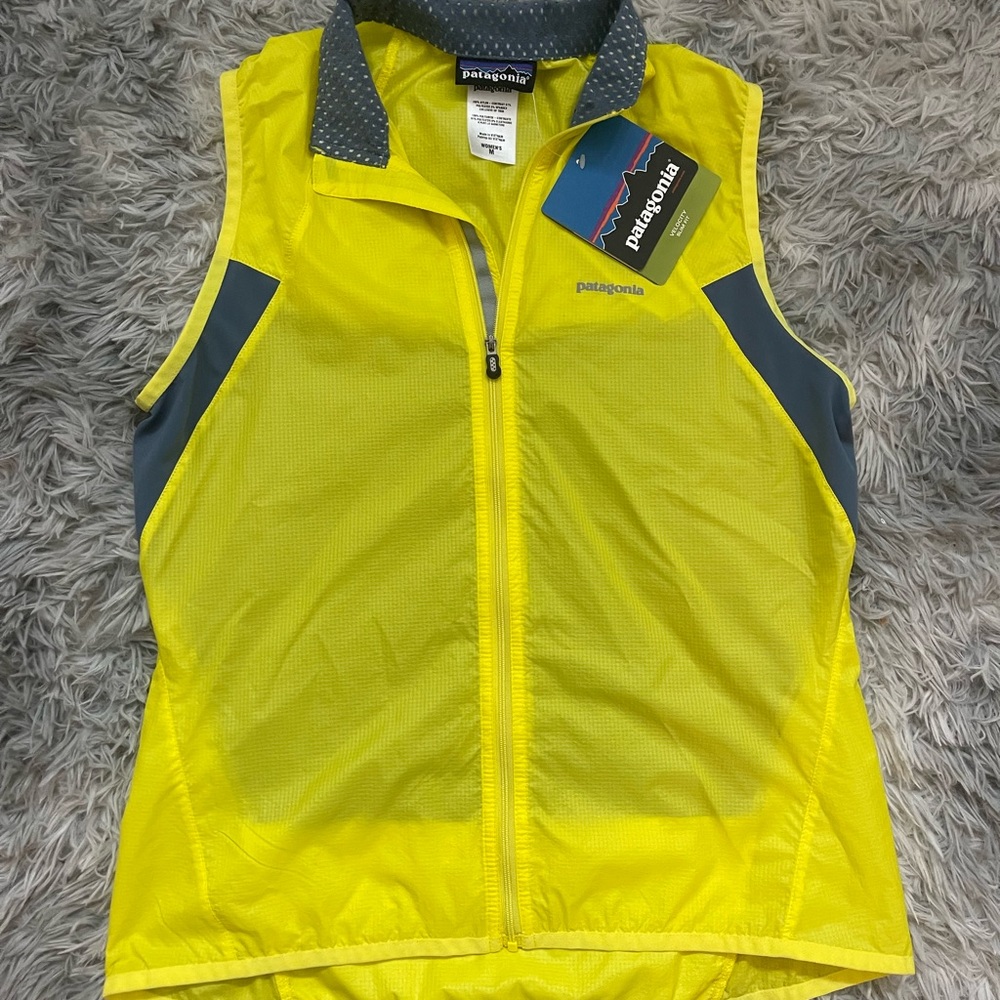 Patagonia Lightweight Vest